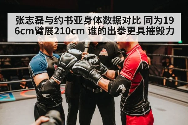 张志磊与约书亚身体数据对比 同为196cm臂展210cm 谁的出拳更具摧毁力